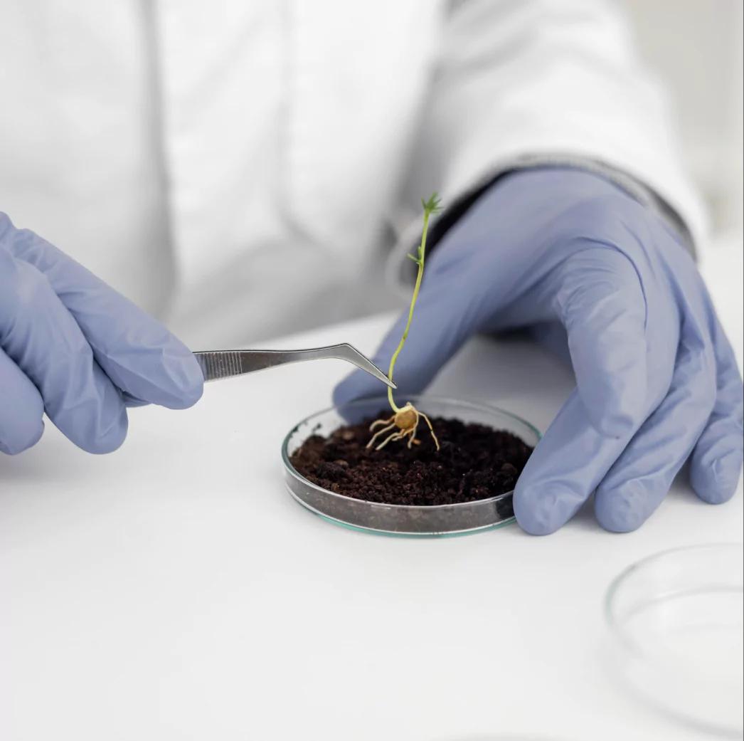 Rigorous Testing for Purity and Potency