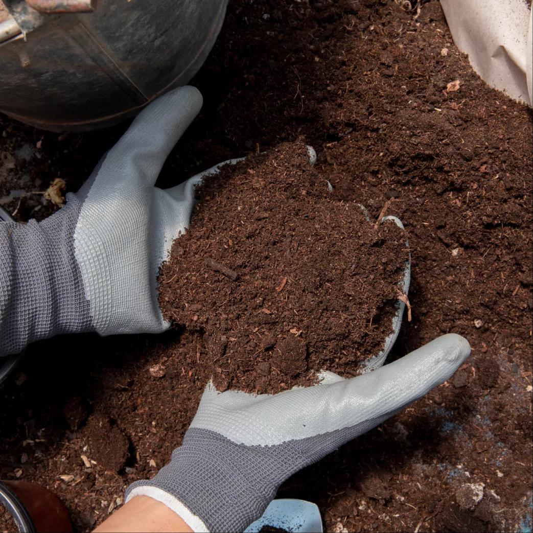 Nourishing Soil, Thriving Plants