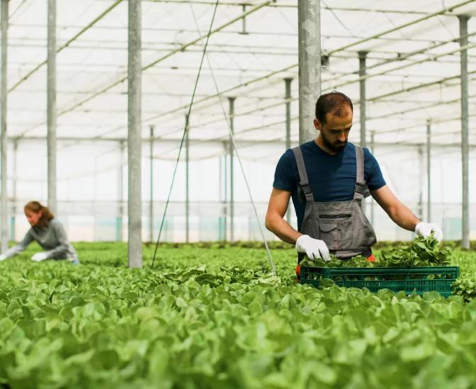 Sustainable Farming Practices Active section