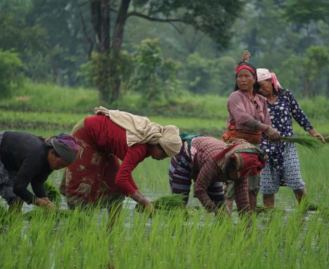 Supporting Nepalese Communities Active section